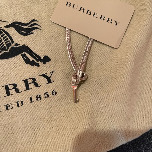 Burberry Brooke Gold Shoulder Bag - Picture 7 of 15